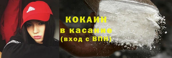 гашик Аркадак