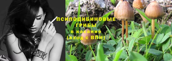 гашик Аркадак