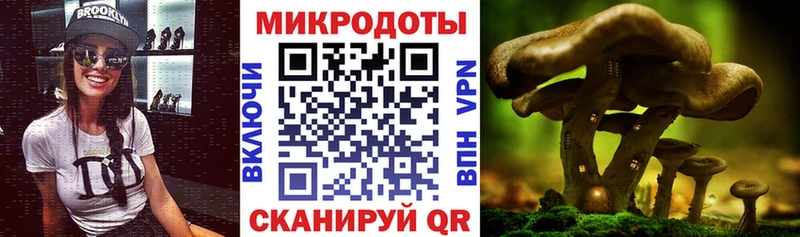 продажа наркотиков  Пушкино  ссылка на мегу зеркало  Псилоцибиновые грибы GOLDEN TEACHER 